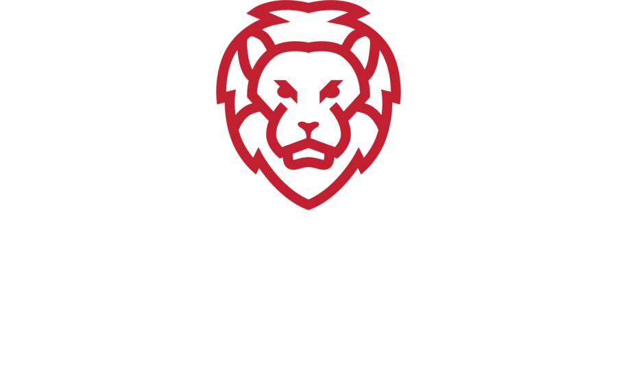 Damian Hall Group